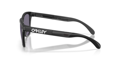 Oakley Frogskins Range XL Glasses