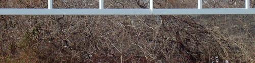 Gared 5 9/16” OD post