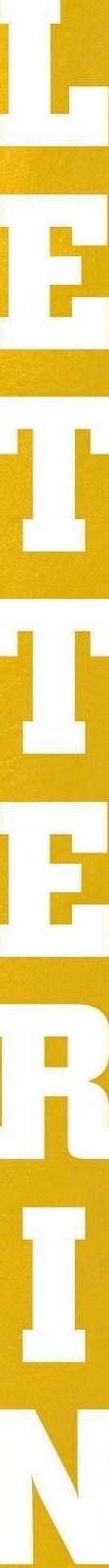 Bison Volleyball Post Padding with 4-Sided Lettering