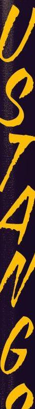 Bison One-Color Standard Lettering