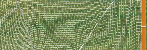 Bison Competition Lacrosse Goals with Nets
