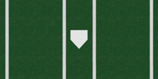 Trigon Sports Baseball Pro Baseball Turf Home Plate Mat - 6'x12'