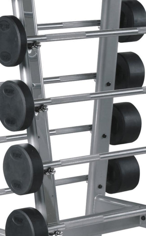 York Barbell ETS Fixed Straight And Curl Barbell Rack