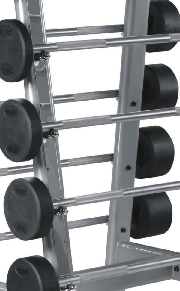 York Barbell ETS Fixed Straight And Curl Barbell Rack