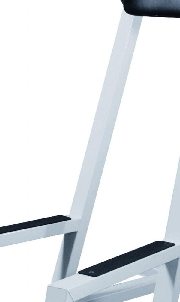 York Barbell Vertical Knee Raise (VKR) with Dip