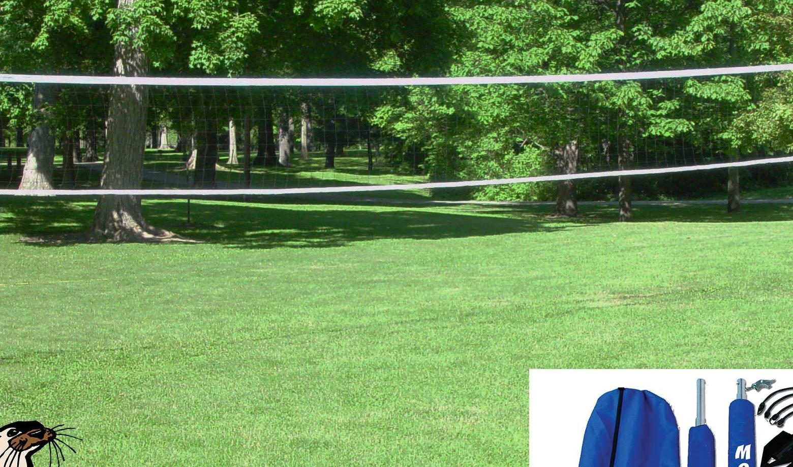 Gared Mongoose Wireless Volleyball System
