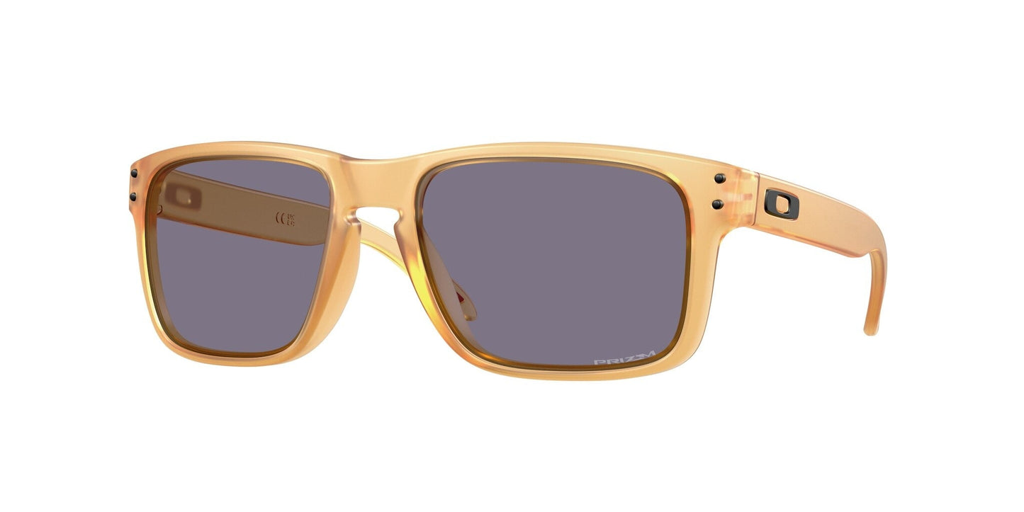 Oakley Holbrook Glasses