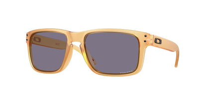 Oakley Holbrook Glasses