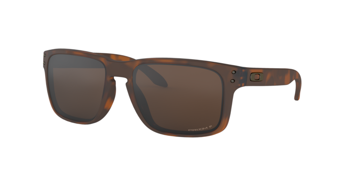 Oakley Holbrook Glasses