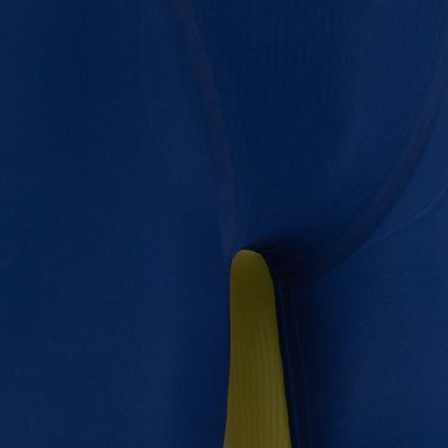 Mizuno Men's GX Sonic Royal SF Swimsuit