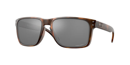 Oakley Holbrook XL Glasses