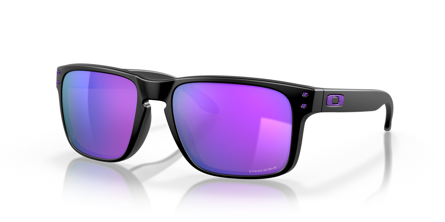 Oakley Holbrook Glasses