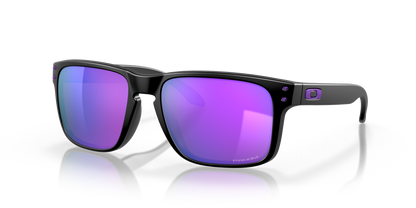 Oakley Holbrook Glasses