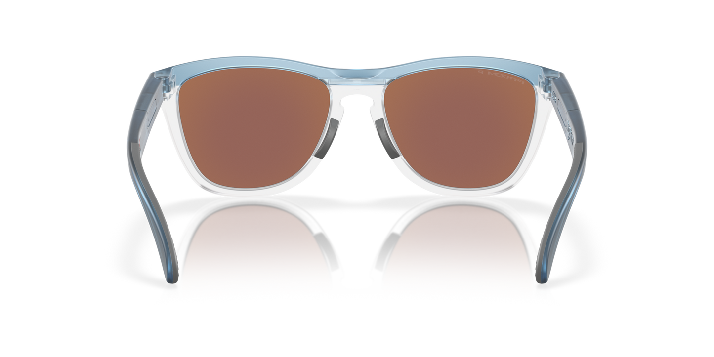 Oakley Frogskins Range Glasses