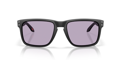 Oakley Holbrook XL Glasses