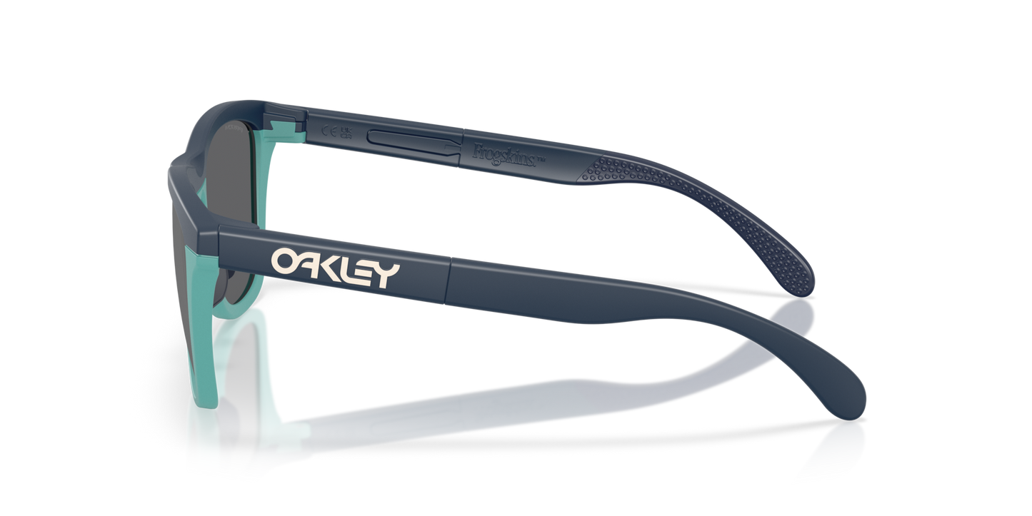 Oakley Frogskins Range A Glasses