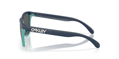 Oakley Frogskins Range A Glasses