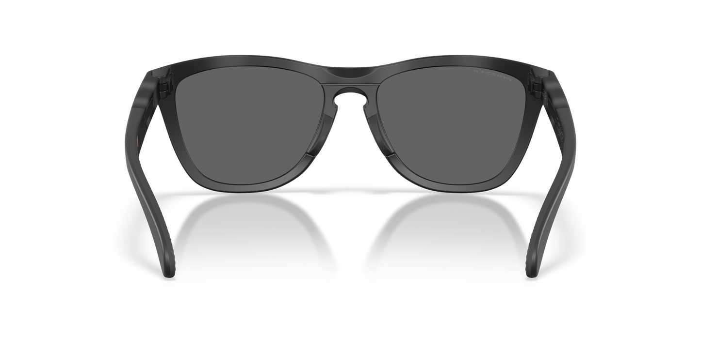 Oakley Frogskins Range XL Glasses