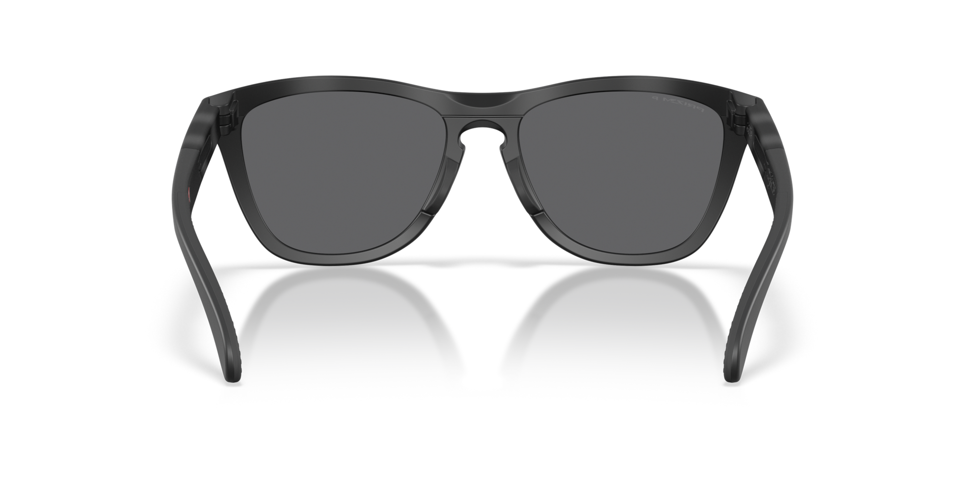 Oakley Frogskins Range XL Glasses