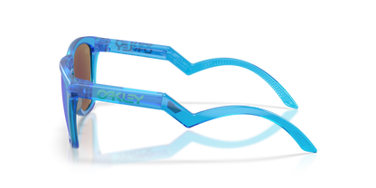 Oakley Frogskins Hybrid Glasses