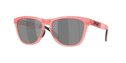 Oakley Frogskins Range Glasses