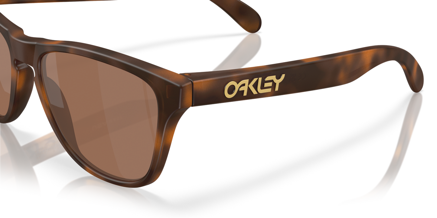 Oakley Frogskins S Glasses