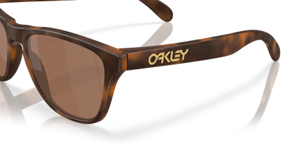 Oakley Frogskins S Glasses