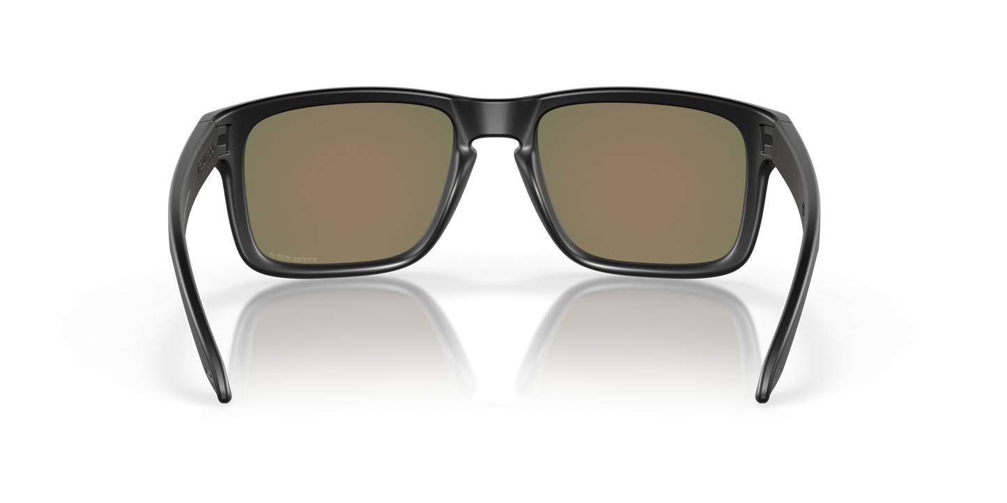 Oakley Holbrook Glasses
