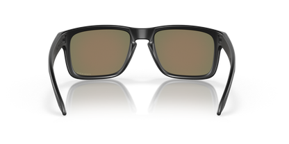 Oakley Holbrook Glasses