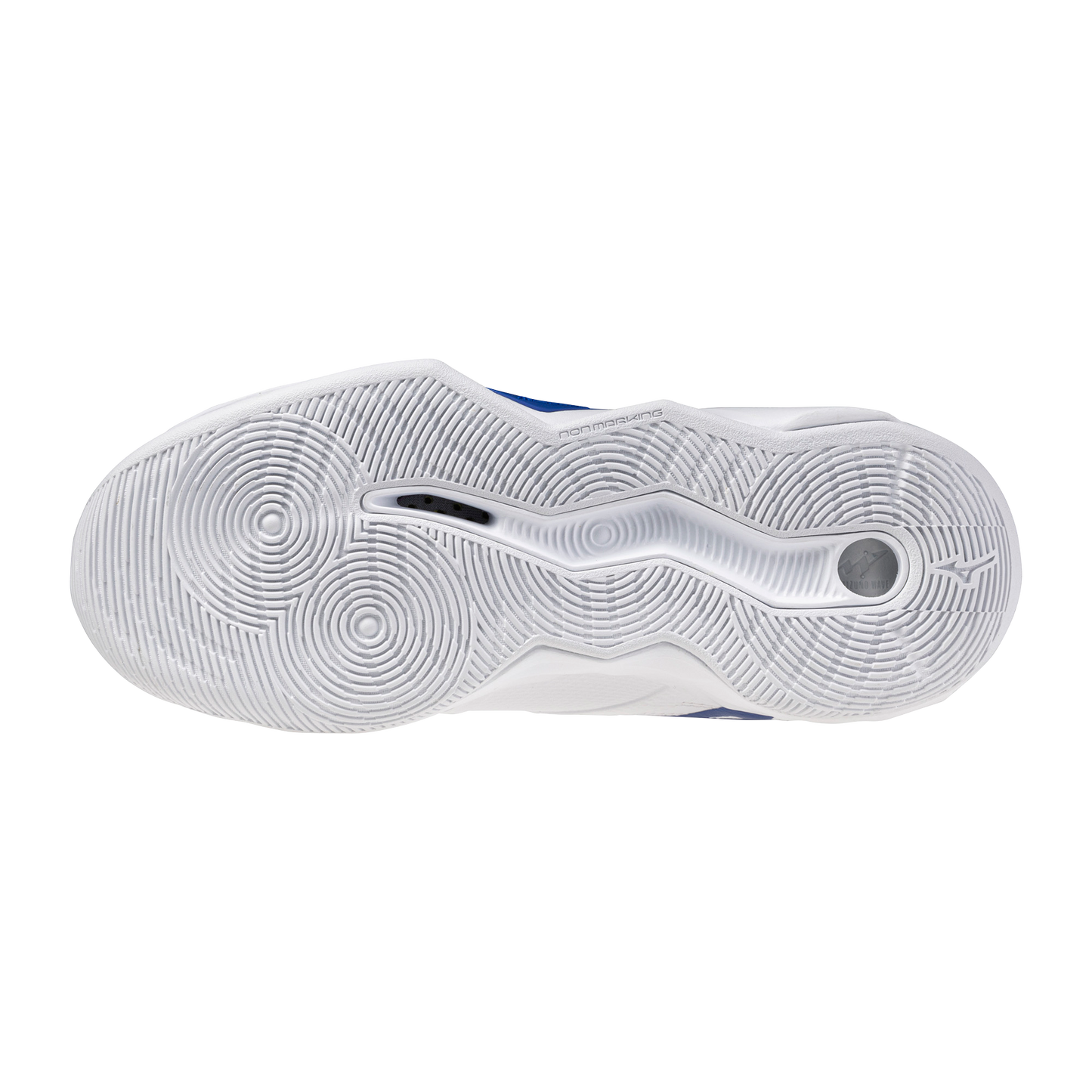 Mizuno Wave Momentum 4 Pro Women's Volleyball Shoes