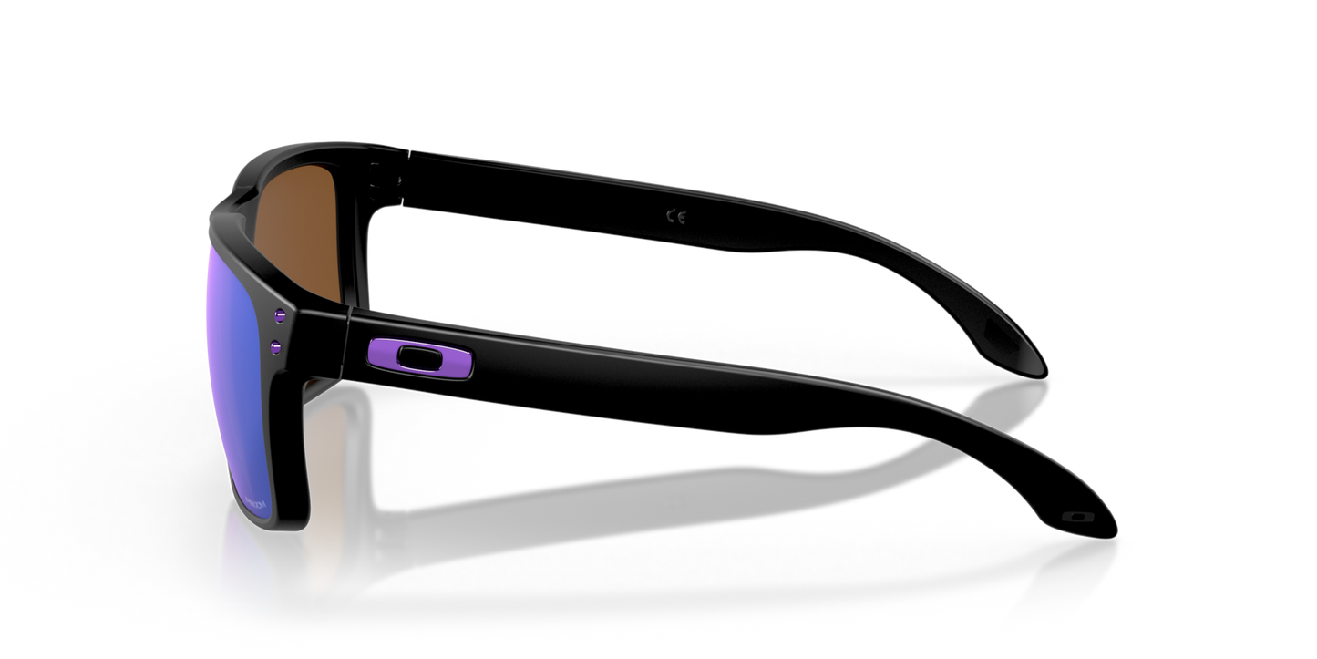 Oakley Holbrook Glasses