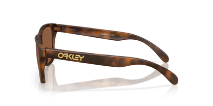 Oakley Frogskins S Glasses