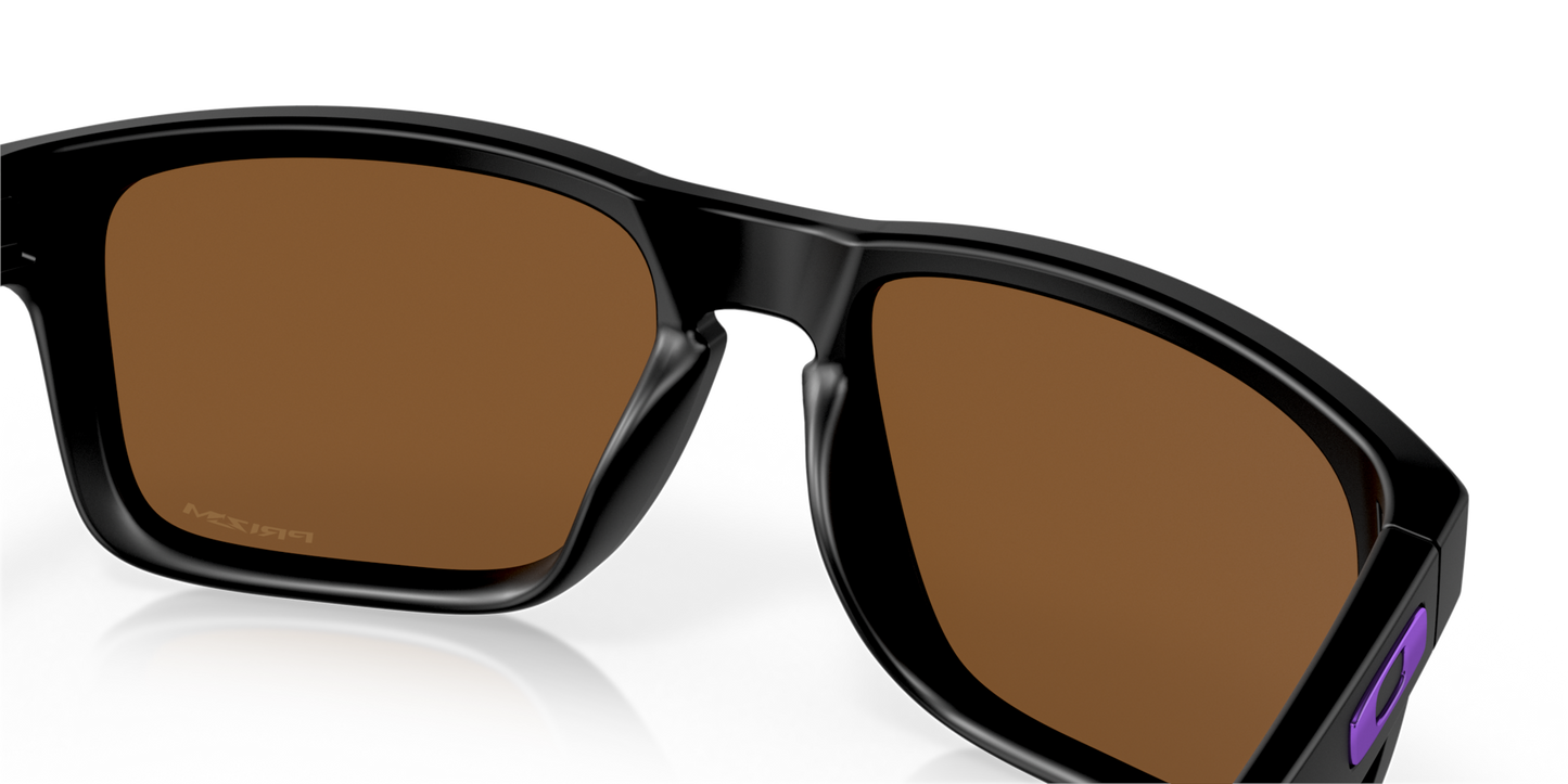 Oakley Holbrook Glasses