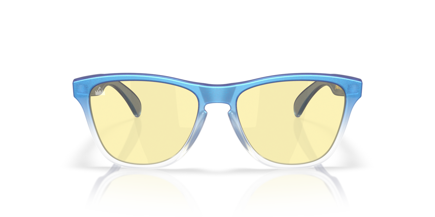 Oakley Frogskins XS Glasses