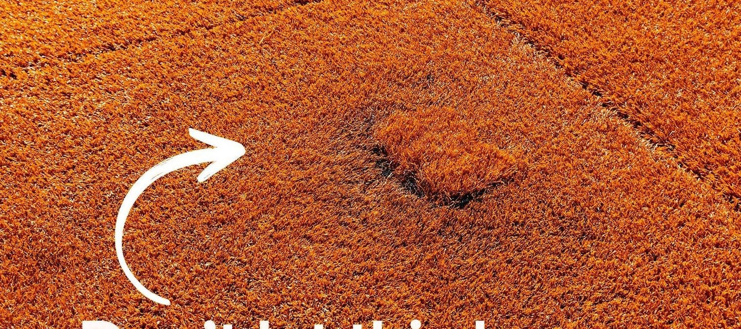 Portolite Baseball Pitching Mound Protector