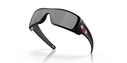Oakley Batwolf Glasses