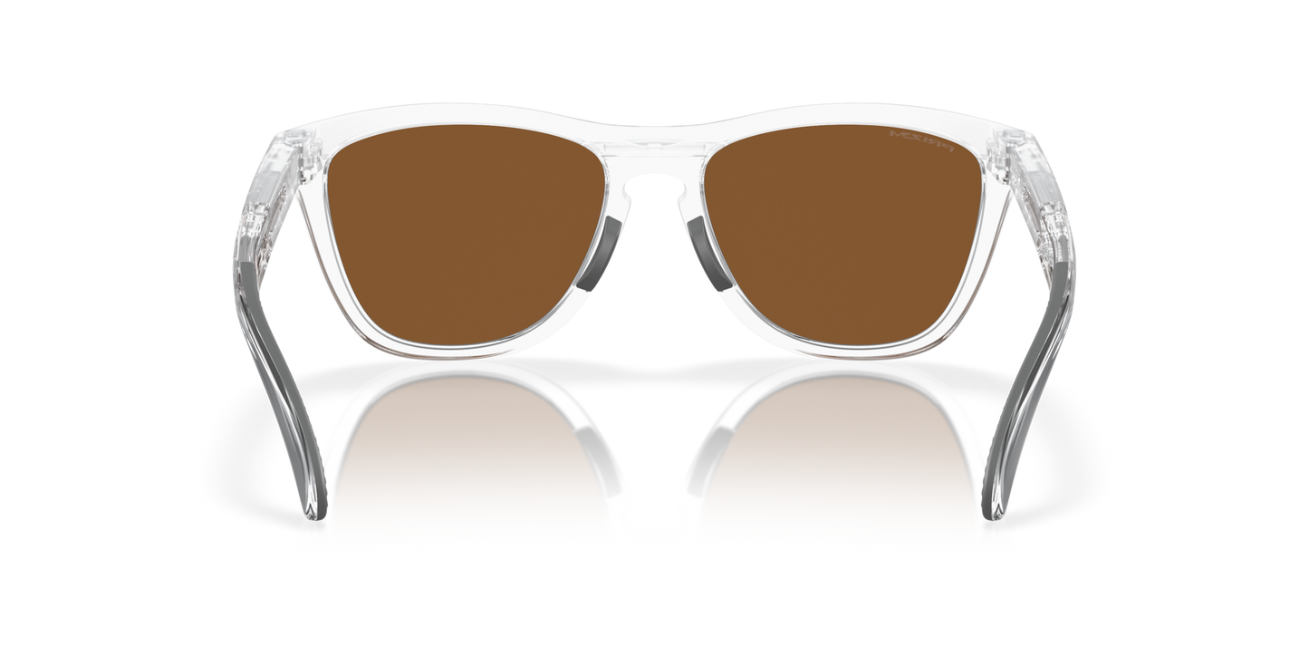 Oakley Frogskins Range Glasses