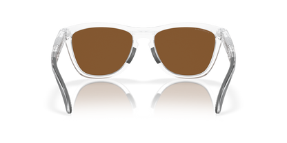 Oakley Frogskins Range Glasses