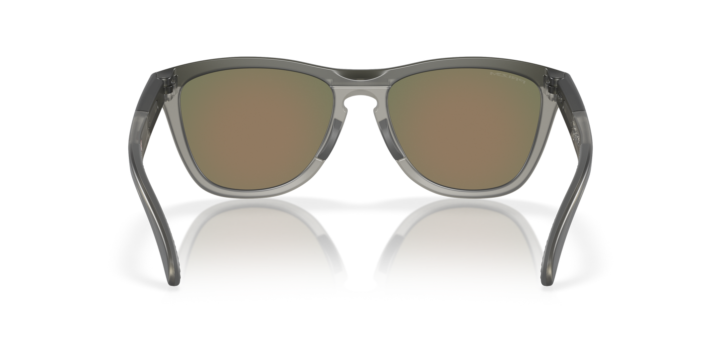 Oakley Frogskins Range A Glasses