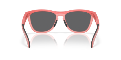 Oakley Frogskins Range Glasses