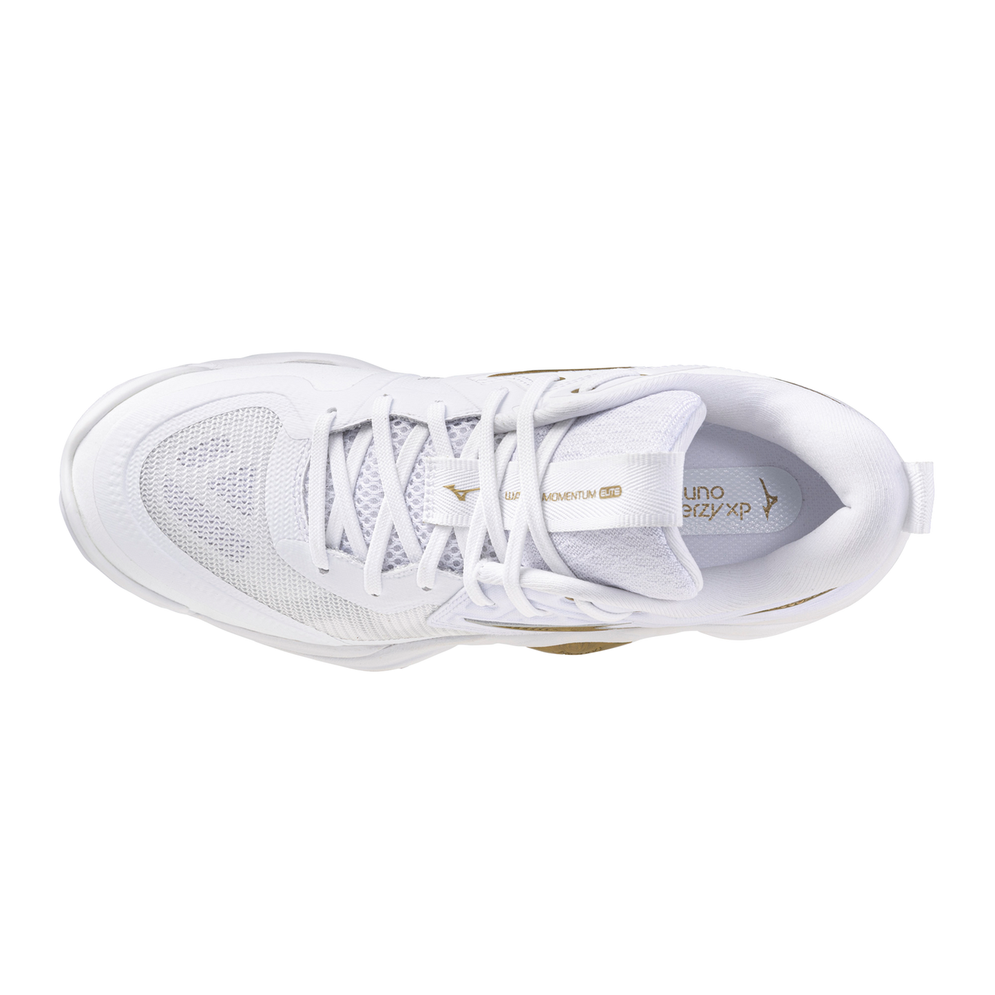 Mizuno Women's Wave Momentum 4 Elite Volleyball Shoes