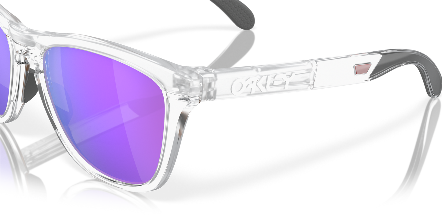 Oakley Frogskins Range Glasses