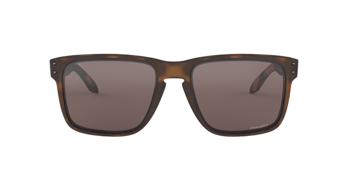 Oakley Holbrook XL Glasses