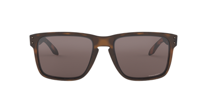 Oakley Holbrook XL Glasses