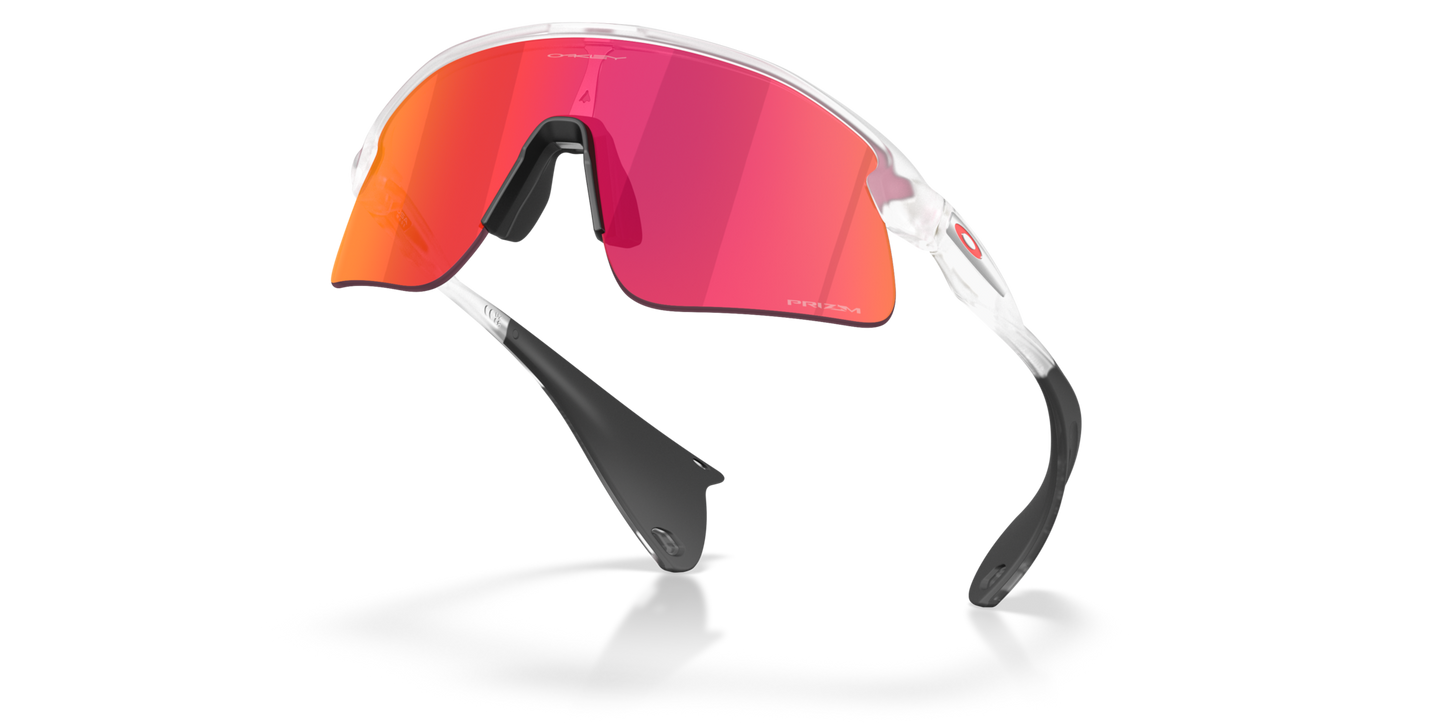 Oakley Stunt Devil Sunglasses