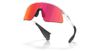 Oakley Stunt Devil Sunglasses