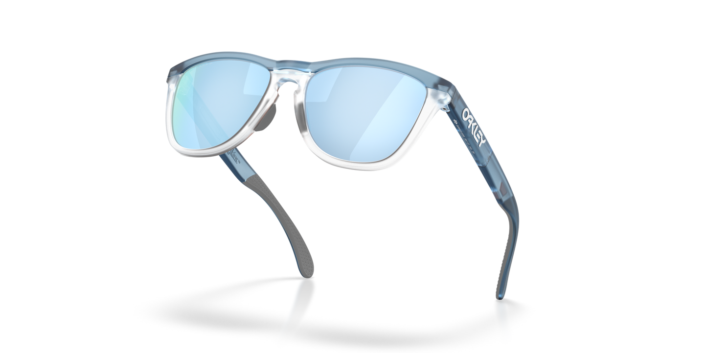 Oakley Frogskins Range XL Glasses