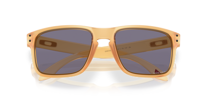 Oakley Holbrook Glasses