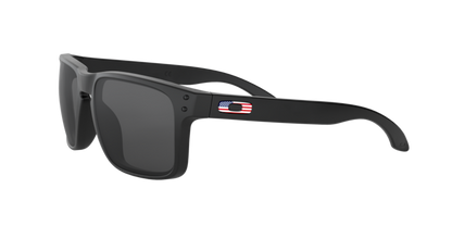 Oakley Holbrook Glasses