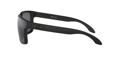 Oakley Holbrook XL Glasses